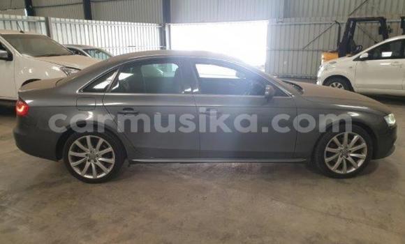 Tenga Tsaru Audi A4 Nhema Mota in Beitbridge in Matabeleland South Tenga Tsaru Audi A4 Nhema Mota in Beitbridge in Matabeleland South