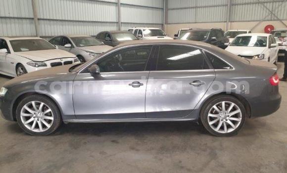 Tenga Tsaru Audi A4 Nhema Mota in Beitbridge in Matabeleland South Tenga Tsaru Audi A4 Nhema Mota in Beitbridge in Matabeleland South