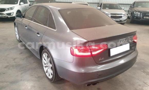 Tenga Tsaru Audi A4 Nhema Mota in Beitbridge in Matabeleland South Tenga Tsaru Audi A4 Nhema Mota in Beitbridge in Matabeleland South
