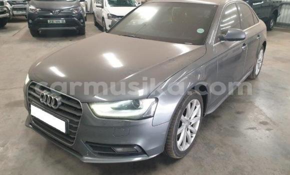 Tenga Tsaru Audi A4 Nhema Mota in Beitbridge in Matabeleland South Tenga Tsaru Audi A4 Nhema Mota in Beitbridge in Matabeleland South