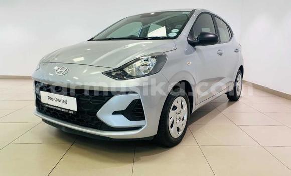 Buy Used Hyundai i10 White Car in Beitbridge in Matabeleland South