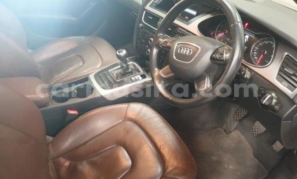 Tenga Tsaru Audi A4 Nhema Mota in Beitbridge in Matabeleland South Tenga Tsaru Audi A4 Nhema Mota in Beitbridge in Matabeleland South