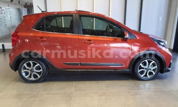 Buy Import Kia Picanto Beige Car in Beitbridge in Matabeleland South Buy Import Kia Picanto Beige Car in Beitbridge in Matabeleland South