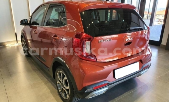 Buy Import Kia Picanto Beige Car in Beitbridge in Matabeleland South Buy Import Kia Picanto Beige Car in Beitbridge in Matabeleland South