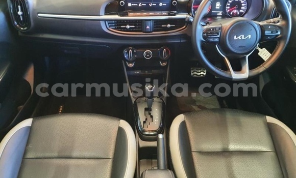 Buy Import Kia Picanto Beige Car in Beitbridge in Matabeleland South Buy Import Kia Picanto Beige Car in Beitbridge in Matabeleland South