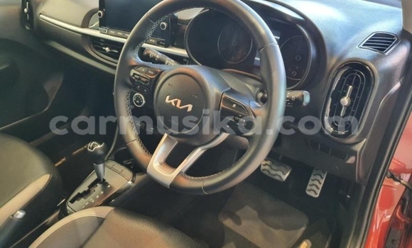 Buy Import Kia Picanto Beige Car in Beitbridge in Matabeleland South Buy Import Kia Picanto Beige Car in Beitbridge in Matabeleland South