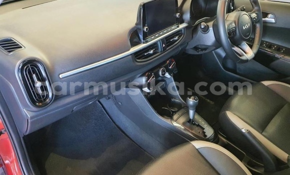 Buy Import Kia Picanto Beige Car in Beitbridge in Matabeleland South Buy Import Kia Picanto Beige Car in Beitbridge in Matabeleland South