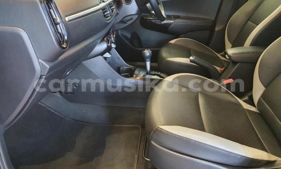 Buy Import Kia Picanto Beige Car in Beitbridge in Matabeleland South Buy Import Kia Picanto Beige Car in Beitbridge in Matabeleland South