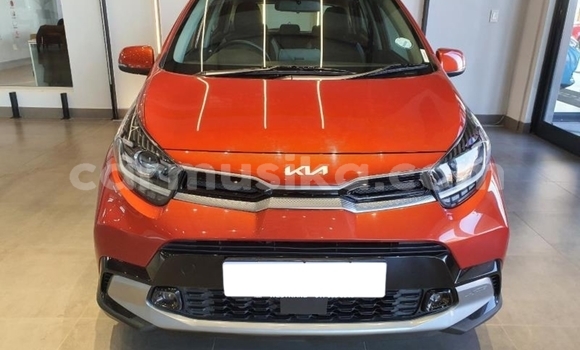 Buy Import Kia Picanto Beige Car in Beitbridge in Matabeleland South Buy Import Kia Picanto Beige Car in Beitbridge in Matabeleland South