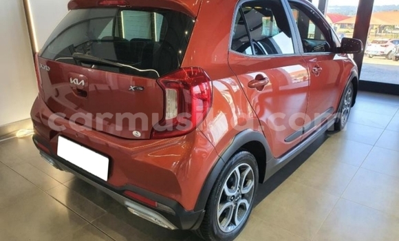 Buy Import Kia Picanto Beige Car in Beitbridge in Matabeleland South Buy Import Kia Picanto Beige Car in Beitbridge in Matabeleland South