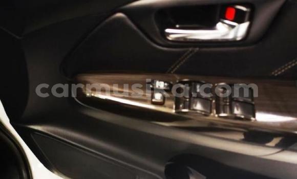 Tenga Tsaru Toyota Fortuner Chena Mota in Harare in Harare Tenga Tsaru Toyota Fortuner Chena Mota in Harare in Harare