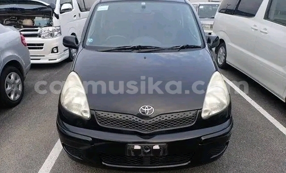 Buy Import Toyota FunCargo Black Car in Harare in Harare Buy Import Toyota FunCargo Black Car in Harare in Harare