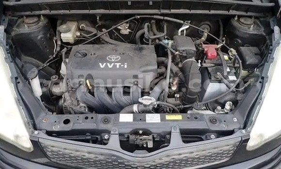 Buy Import Toyota FunCargo Black Car in Harare in Harare Buy Import Toyota FunCargo Black Car in Harare in Harare