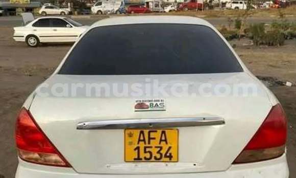 Buy Used Nissan Sunny Other Car in Harare in Harare Buy Used Nissan Sunny Other Car in Harare in Harare