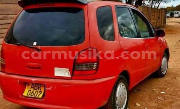 Buy Used Toyota Spacio Red Car in Harare in Harare
