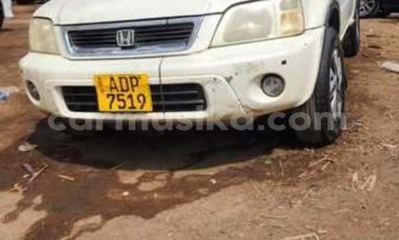 Tenga Tsaru Toyota Altezza Zvimwe Mota in Harare in Harare Tenga Tsaru Toyota Altezza Zvimwe Mota in Harare in Harare