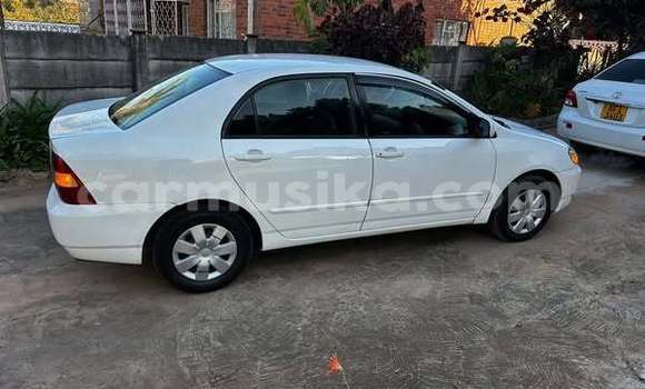 Nunua Ilio tumika Toyota Alphard Nyeupe Gari ndani ya Harare nchini Harare Nunua Ilio tumika Toyota Alphard Nyeupe Gari ndani ya Harare nchini Harare