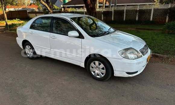 Nunua Ilio tumika Toyota Alphard Nyeupe Gari ndani ya Harare nchini Harare Nunua Ilio tumika Toyota Alphard Nyeupe Gari ndani ya Harare nchini Harare