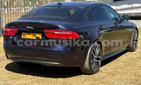Acheter Occasion Voiture Jaguar XE Autre à Harare, Harare Acheter Occasion Voiture Jaguar XE Autre à Harare, Harare