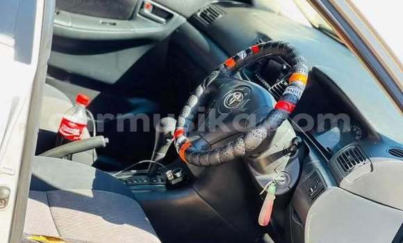 Acheter Occasion Voiture Toyota Runx Autre à Harare, Harare Acheter Occasion Voiture Toyota Runx Autre à Harare, Harare