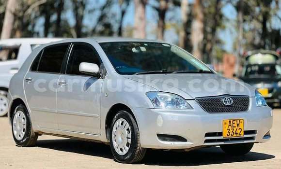 Acheter Occasion Voiture Toyota Runx Autre à Harare, Harare Acheter Occasion Voiture Toyota Runx Autre à Harare, Harare