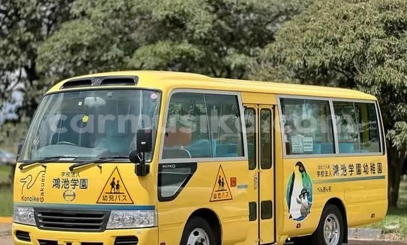 Acheter Occasion Utilitaire Hino 300 Blanc à Harare, Harare Acheter Occasion Utilitaire Hino 300 Blanc à Harare, Harare