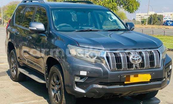 Buy Used Toyota Land Cruiser Prado Other Car in Harare in Harare Buy Used Toyota Land Cruiser Prado Other Car in Harare in Harare