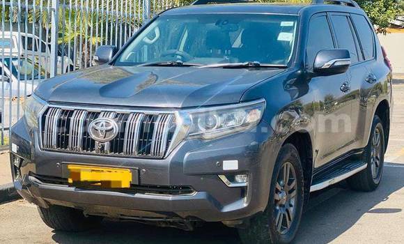 Buy Used Toyota Land Cruiser Prado Other Car in Harare in Harare Buy Used Toyota Land Cruiser Prado Other Car in Harare in Harare
