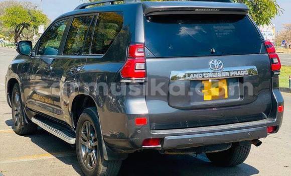 Buy Used Toyota Land Cruiser Prado Other Car in Harare in Harare Buy Used Toyota Land Cruiser Prado Other Car in Harare in Harare