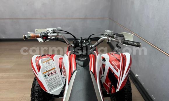 Acheter Occasion Moto Yamaha Raptor Rouge à Beitbridge, Matabeleland South Acheter Occasion Moto Yamaha Raptor Rouge à Beitbridge, Matabeleland South