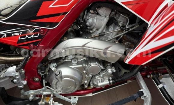 Acheter Occasion Moto Yamaha Raptor Rouge à Beitbridge, Matabeleland South Acheter Occasion Moto Yamaha Raptor Rouge à Beitbridge, Matabeleland South