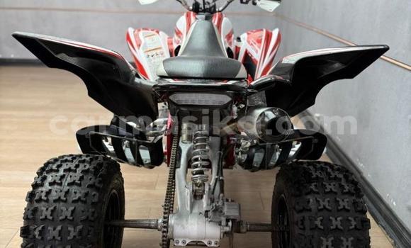 Acheter Occasion Moto Yamaha Raptor Rouge à Beitbridge, Matabeleland South Acheter Occasion Moto Yamaha Raptor Rouge à Beitbridge, Matabeleland South