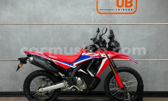 Nunua Ilio tumika Honda CRF Nyekundu Bike ndani ya Beitbridge nchini Matabeleland Kusini