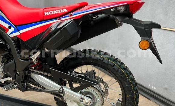 Acheter Occasion Moto Honda CRF Rouge à Beitbridge, Matabeleland South Acheter Occasion Moto Honda CRF Rouge à Beitbridge, Matabeleland South
