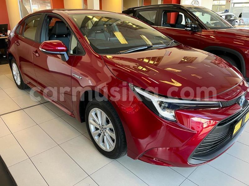 Big with watermark toyota corolla matabeleland south beitbridge 37191