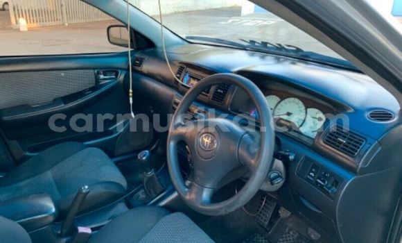 Acheter Occasion Voiture Toyota Runx Gris à Beitbridge, Matabeleland South Acheter Occasion Voiture Toyota Runx Gris à Beitbridge, Matabeleland South