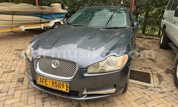 Buy Used Jaguar XF Black Car in Harare in Harare