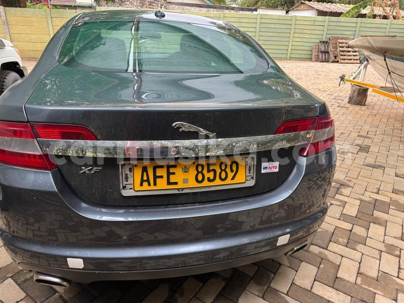 Big with watermark jaguar xf harare harare 37419