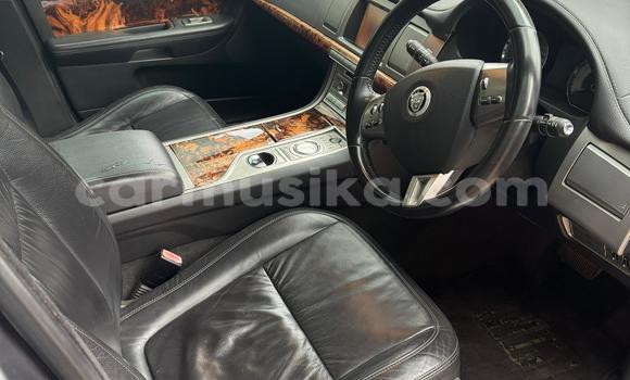 Nunua Ilio tumika Jaguar XF Nyeusi Gari ndani ya Harare nchini Harare Nunua Ilio tumika Jaguar XF Nyeusi Gari ndani ya Harare nchini Harare