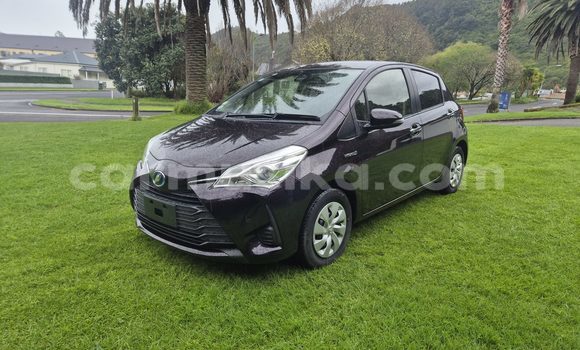 Buy Used Toyota Vitz Black Car in Harare in Harare