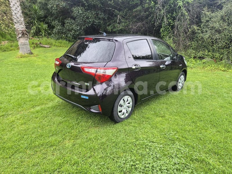 Big with watermark toyota vitz harare harare 37439