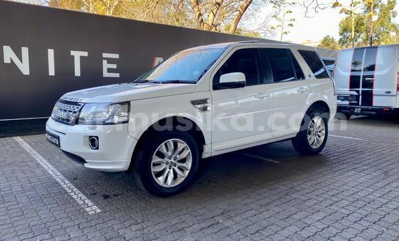 Nunua Ilio tumika Land Rover Freelander Nyeupe Gari ndani ya Harare nchini Harare Nunua Ilio tumika Land Rover Freelander Nyeupe Gari ndani ya Harare nchini Harare