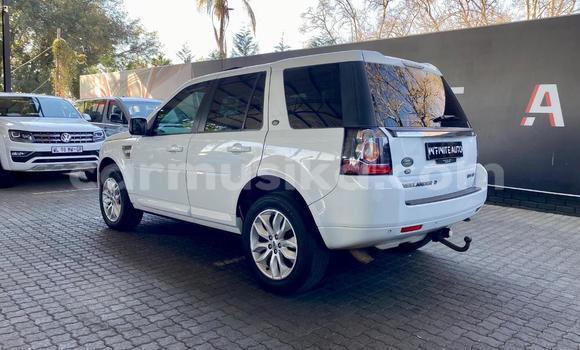 Nunua Ilio tumika Land Rover Freelander Nyeupe Gari ndani ya Harare nchini Harare Nunua Ilio tumika Land Rover Freelander Nyeupe Gari ndani ya Harare nchini Harare