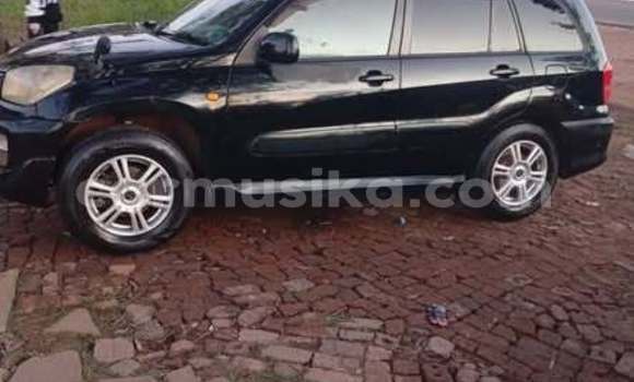 Buy Used Toyota RAV4 Other Car in Harare in Harare Buy Used Toyota RAV4 Other Car in Harare in Harare