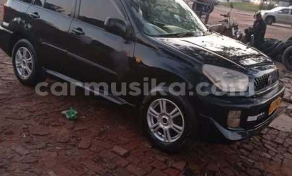 Buy Used Toyota RAV4 Other Car in Harare in Harare Buy Used Toyota RAV4 Other Car in Harare in Harare
