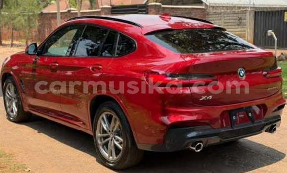 Tenga Tsaru BMW 02 (E10) Zvimwe Mota in Harare in Harare Tenga Tsaru BMW 02 (E10) Zvimwe Mota in Harare in Harare