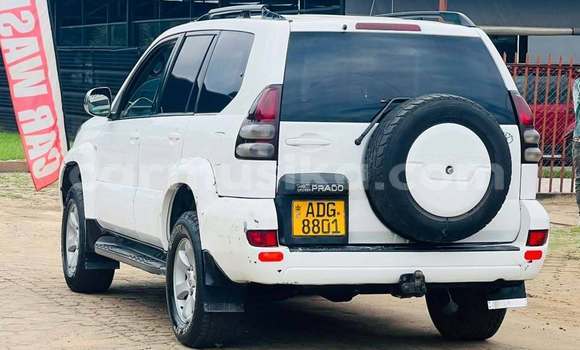 Buy Used Toyota Prado White Car in Harare in Harare Buy Used Toyota Prado White Car in Harare in Harare