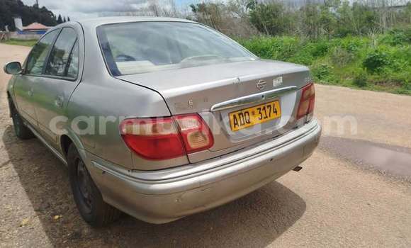 Buy Used Nissan Sylphy Other Car in Harare in Harare Buy Used Nissan Sylphy Other Car in Harare in Harare
