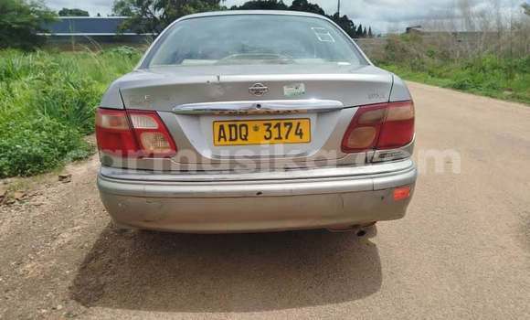 Buy Used Nissan Sylphy Other Car in Harare in Harare Buy Used Nissan Sylphy Other Car in Harare in Harare