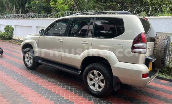 Buy Used Toyota Prado Other Car in Harare in Harare Buy Used Toyota Prado Other Car in Harare in Harare